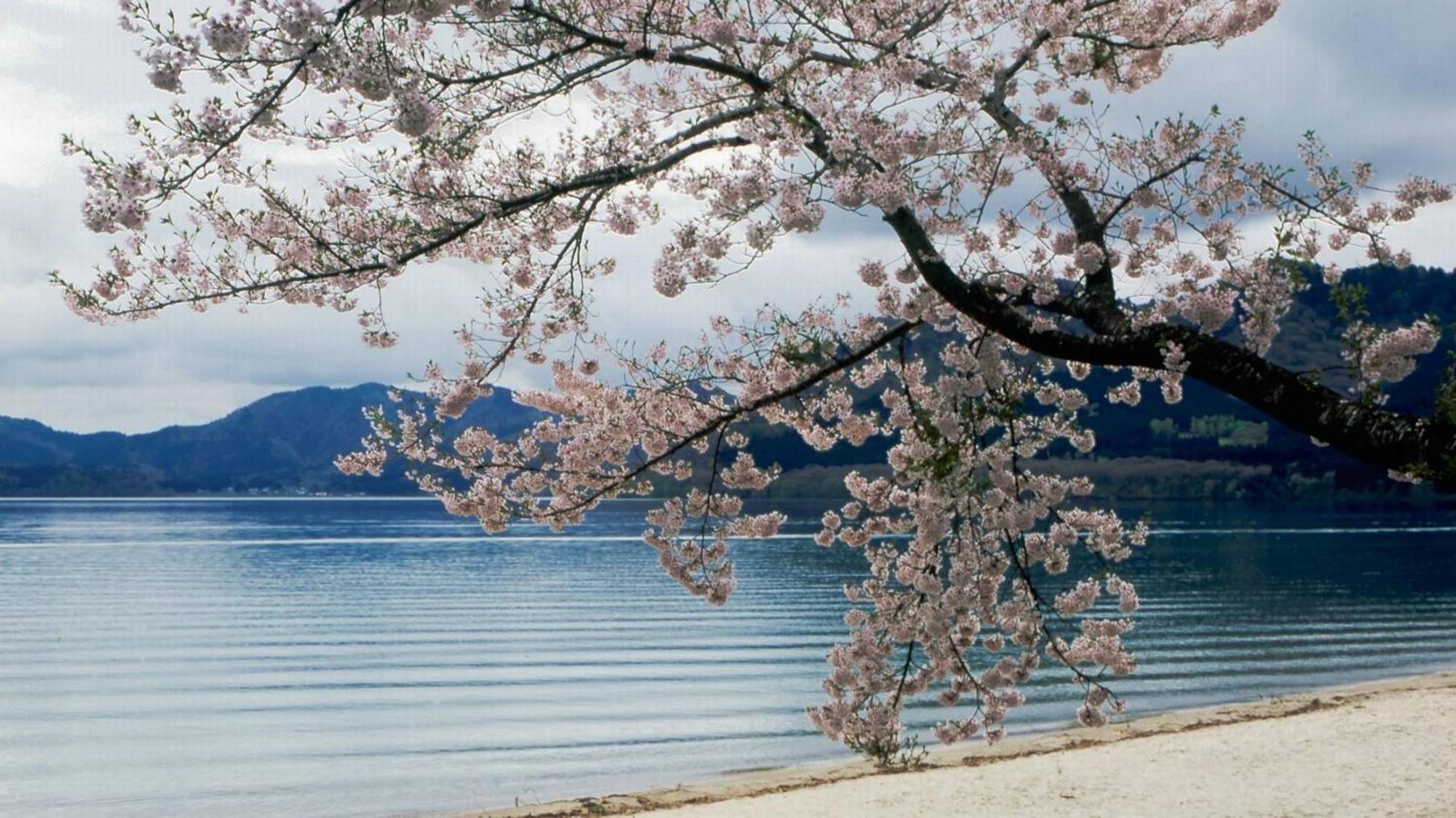 Hotel Kashintei Shirahama Semboku Esterno foto